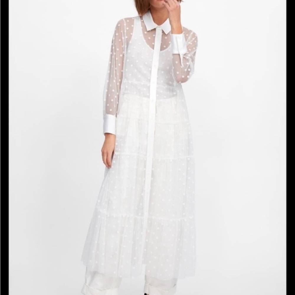 Zara Sheer Polka Dot Dress